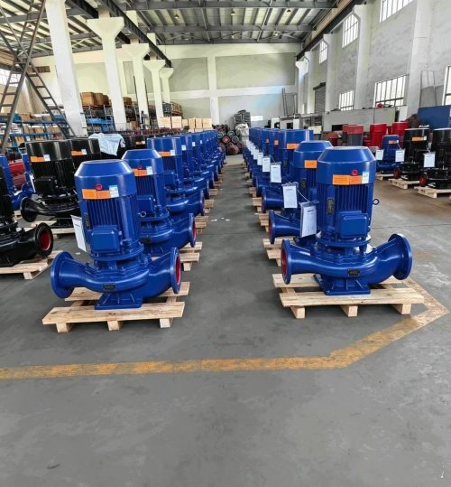 ISG & ISW Series Pipeline Centrifugal Pumps - 图片 2