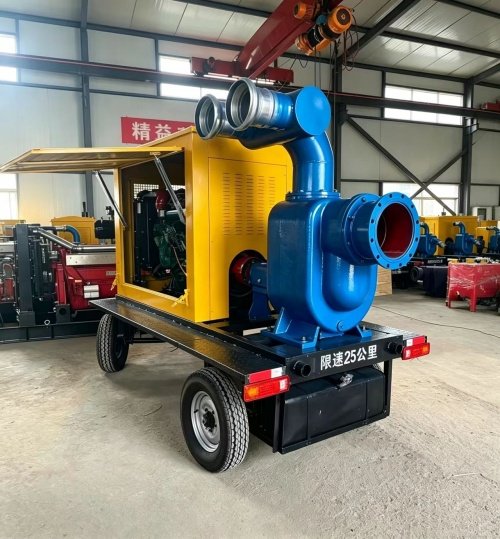 Self-Priming Sewage Pump - 图片 3