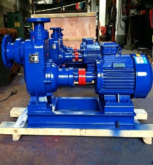 Self-Priming Sewage Pump - 图片 4