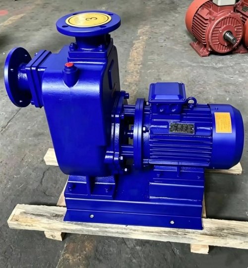 Self-Priming Sewage Pump - 图片 5