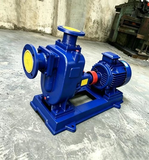 Self-Priming Sewage Pump - 图片 2
